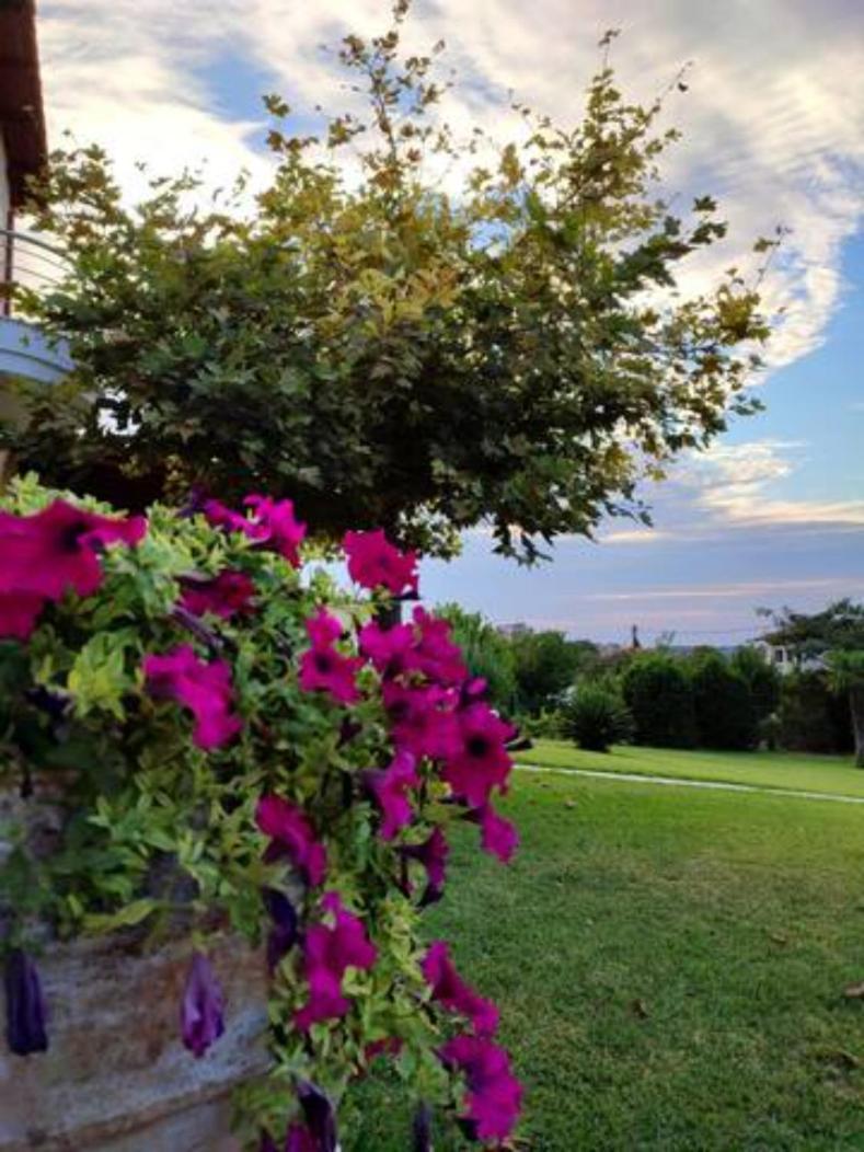 Wonderful Villa With Great View In Posidi-Kalandra Екстериор снимка